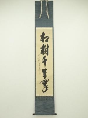 4103 藤井誡堂 「松無古今色」 共箱 肉筆 紙本 掛軸 臨済宗 大徳